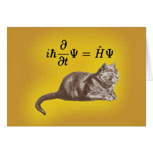 Cartão Gato de Schrodinger