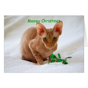 Cartão Gato de Sphinx Feliz Natal