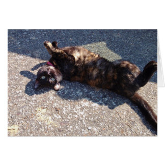 Cartão Gato de TortoisesInferno Reproduzido