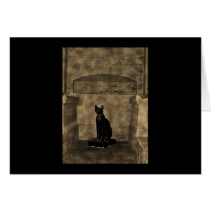 Cartão Gato de Túmulo de Fotografia Antigo