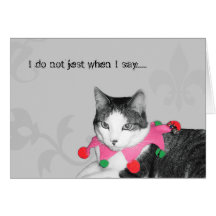 Gato do bobo da corte