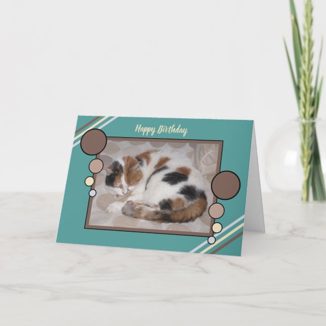 Cartão Gato do Calico enrolado no sono foto da turquesa m (Frente)