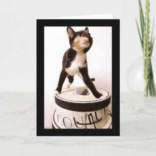 Cartão Gato do Couture