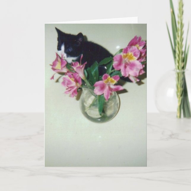 Cartão Gato do feliz aniversario com as flores no vaso (Frente)
