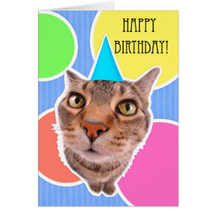 Cartão Gato do gatinho do feliz aniversario