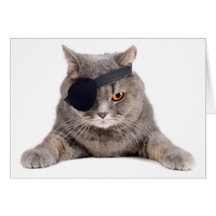Cartão Gato do pirata