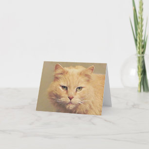 Cartão Gato Doce Fica Bem Em Breve