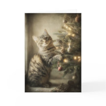 Gato Doce Natal