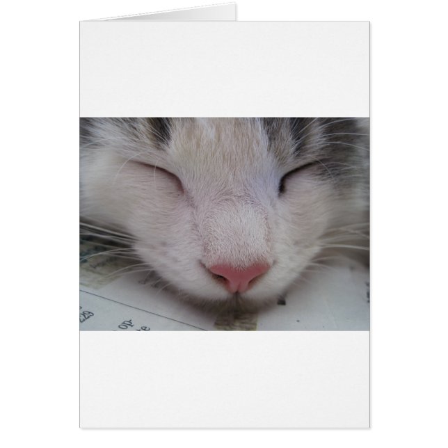 Cartão Gato Dormindo (Frente)