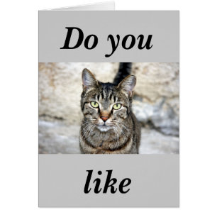 Cartão Gato Egípcio