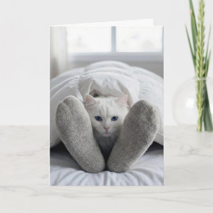 Cartão Gato Em Branco de Cama, Recupere-se Logo