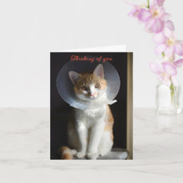 Cartão Gato em Cone Pensando em você, Cat se recupere log