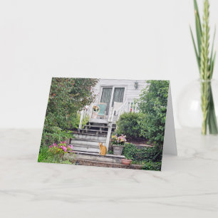 Cartão gato em degraus