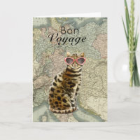 Gato em óculos solares Bon Voyage Viagens seguros