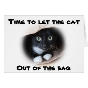 Cartão Gato em um saco