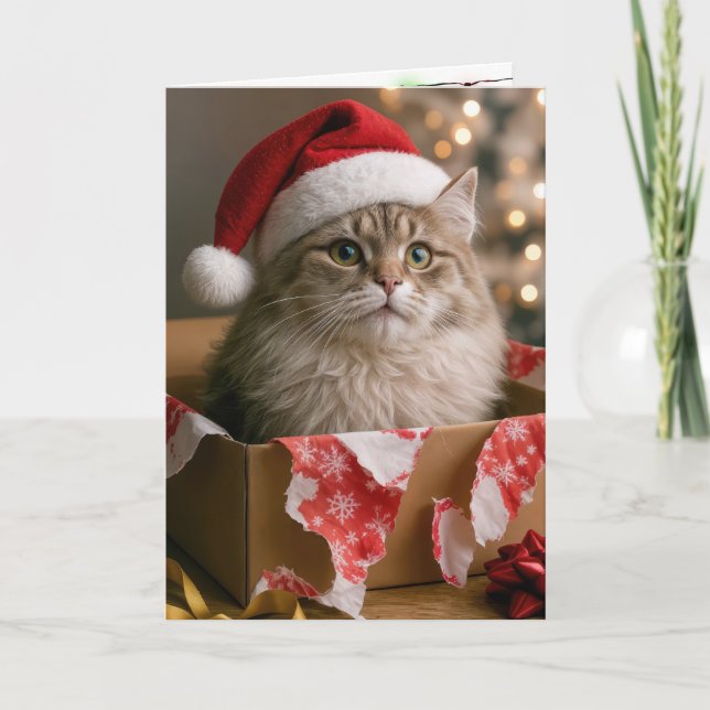 Cartão Gato em uma Caixa de Presente de Natal (Frente)