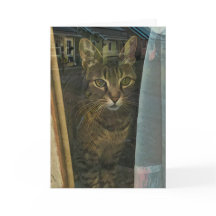 Gato em uma janela Refletindo pensamentos de você