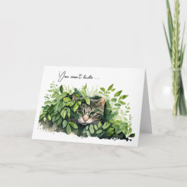 Cartão Gato Em Verde Deixa Humor De Aniversário