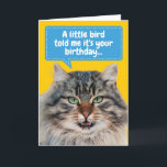 Cartão Gato Engraçado Ate Bird Saudação<br><div class="desc">Um passarinho disse a este gato que era seu aniversário. Ainda bem que o gato comeu o pássaro! Cartão engraçado para amantes de gatos e odiadores de aniversário.</div>