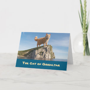 Cartão Gato Engraçado de Gibraltar