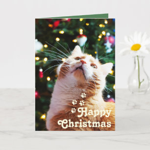 Cartão Gato Engraçado e Árvore Verde&Feliz Natal Único  