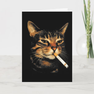 Cartão Gato Engraçado Fumando Cigarro Meme Gatinho Idiota