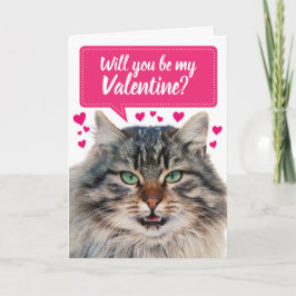 Cartão Gato Engraçado Você Será Meu Namorados?