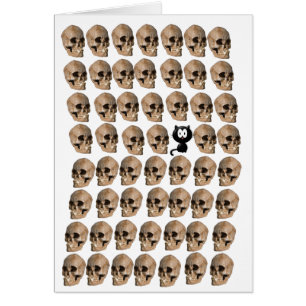 Cartão Gato entre os crânios