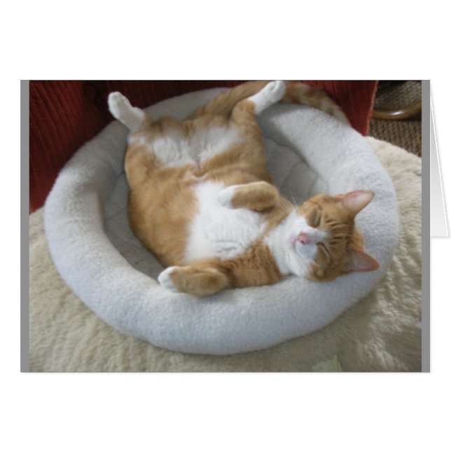 Cartão Gato Feliz (Frente Horizontal)