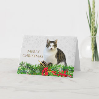 Cartão Gato Feliz Natal com Verde Feriado