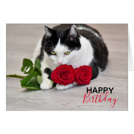 Cartão Gato fofo com a rosa vermelha