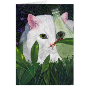 Cartão Gato, Garrafa de Coca-Cola e Damybugs