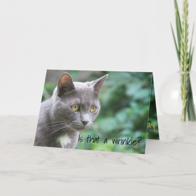Cartão Gato Gatinho Engraçado (Frente)