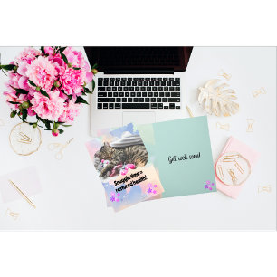 Cartão Gato Gato Bonito O Tempo De Atirar Bem