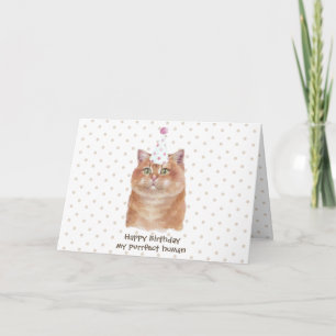 Cartão Gato Hosico com Chapéu de Festa