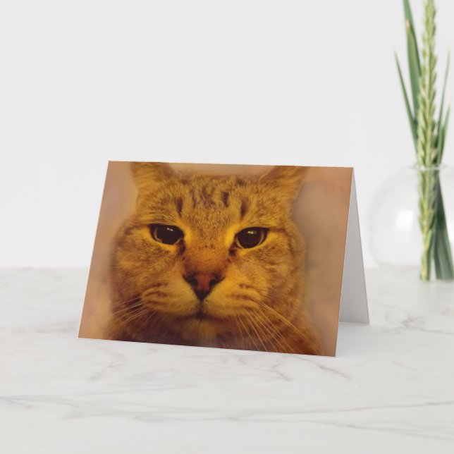 Cartão Gato Impaciente Bossy Fica Bem (Frente)