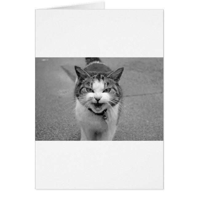 Cartão Gato Irritado (Frente)