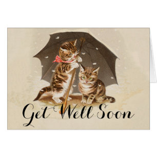 Cartão Gato Kitten gatinho antigo vintage bonito