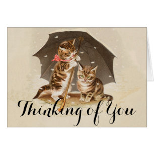 Cartão Gato Kitten gatinho antigo vintage bonito