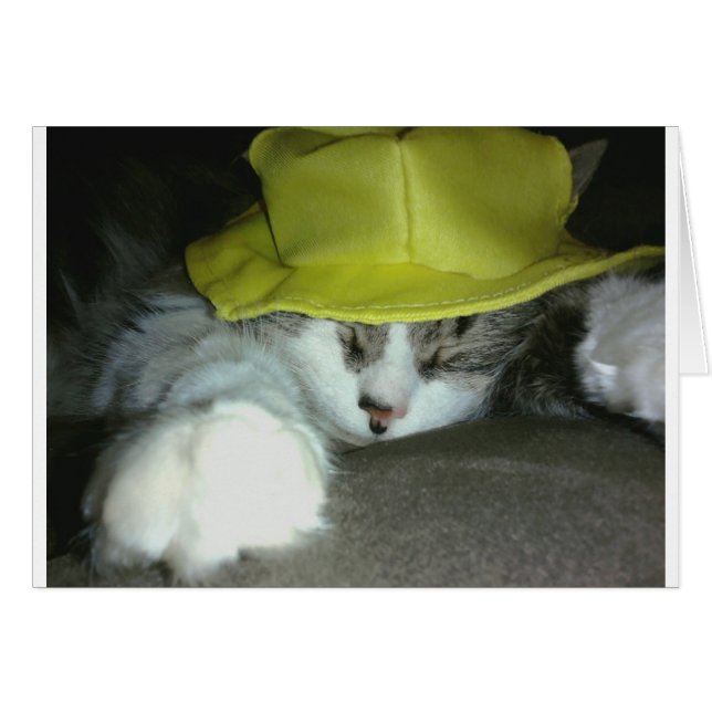 CARTÃO GATO KITTY (Frente Horizontal)