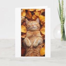 Cartão gato laranja desfrutando de um momento sonolento