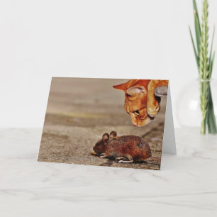 Cartão Gato Laranja Repleto com Saudação de Vazio do Rato