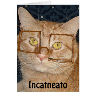 Cartão Gato Listrado Laranja/Incógnito