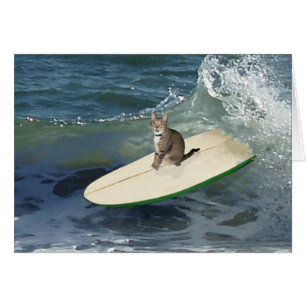 Cartão Gato Listrado Surf's Up!