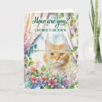 Gato Lover Garden Window Fica Bem