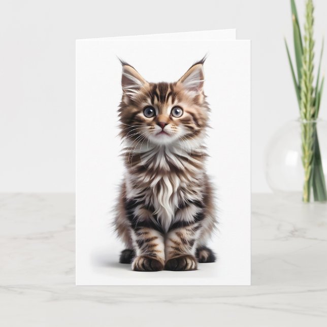 Cartão Gato Maine Coon Fofo de Cabelo Comprido Cumpriment (Frente)