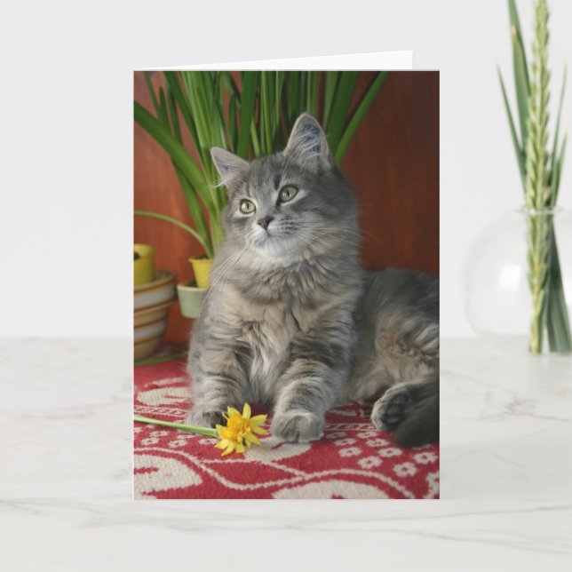 Cartão Gato malhado & Daffodils Notecard (Frente)