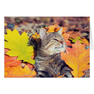 Cartão Gato malhado que Basking na folha