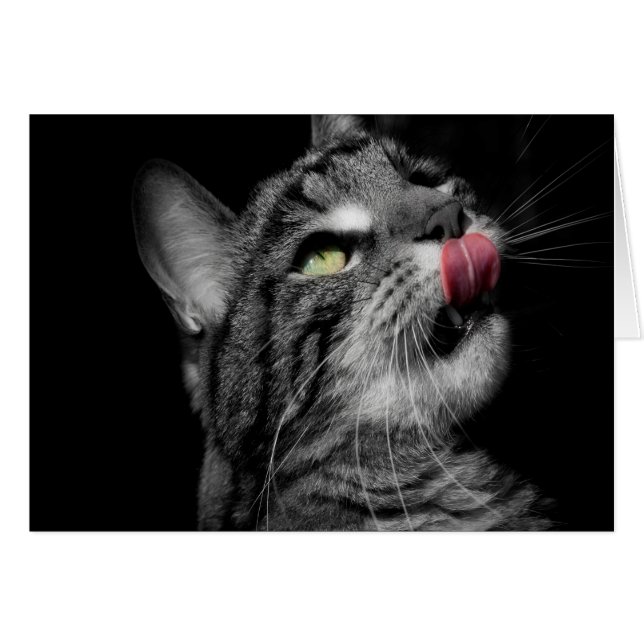 Cartão Gato maravilhoso (Frente horizontal)