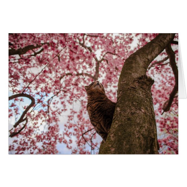 Cartão Gato na árvore (Frente Horizontal)